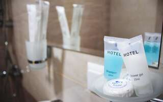 Отель Twins Hotel Тбилиси Большой двухместный номер с 1 кроватью-6